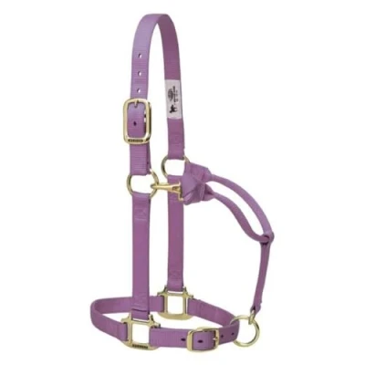 Immagine di Weaver Leather Original Adjustable 3/10,2 cm Suckling Chin And Throat Snap Halter, 35 7036 LV, Lavender, 1&quot; Large Horse