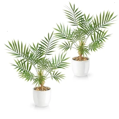 Immagine di PASCH® Set di 2 palme artificiali Areca (35 cm) in vasi ceramica bianchi: piante come reali, vaso, falso pianta, palma artificiale, fiori