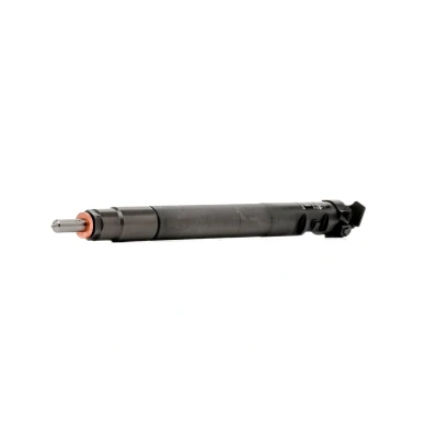 Immagine di DELPHI R00101DP Supporto polverizzatore