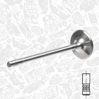 Immagine di ET ENGINETEAM VI0085 valvola aspirazione 31mm Lato Stelo cromato OPEL: Astra F Caravan, Tigra Coupe, Meriva A