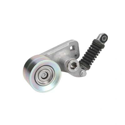 Immagine di HUTCHINSON T3078 Rullo Tendicinghia