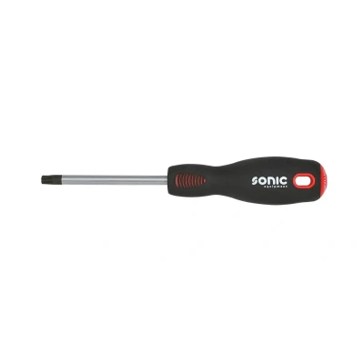 Immagine di SONIC 11630 Cacciavite T30 100 cromato opaco magnetico