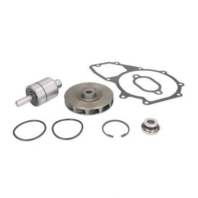 Immagine di FEBI BILSTEIN 03224 Kit riparazione, Pompa acqua