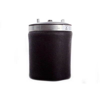 Immagine di DENCKERMANN DSA110G Molla pneumatica, Autotelaio Assale posteriore Dx BMW: X5