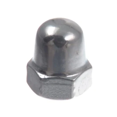 Immagine di SECCARO dado cieco M5, acciaio inox V2A VA A2, DIN 1587, esagonale, forma alta, 20 pezzi