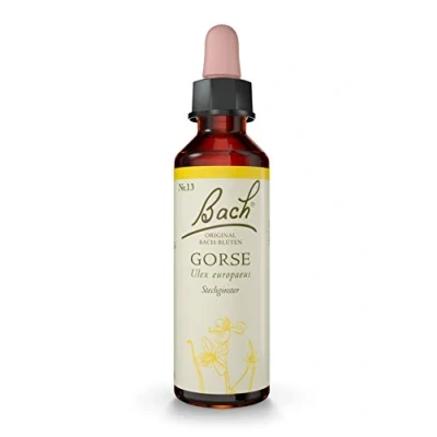 Immagine di Bach Original Blüten Nr. 13 Gorse Stechginster Tropfen, 20 ml Soluzione