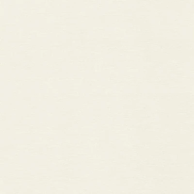 Immagine di Rasch 408249 Carta da parati in tessuto non tessuto, 10,05 m x 0,53 m, colore: Bianco