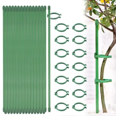 Immagine di NAROSEBE 20 Pezzi Bastoncini di Supporto per Piante 30cm con 40 Anelli Fissaggio Orchidee Pali Sostenere Fiori e Piantine