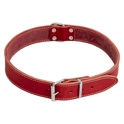 Immagine di JACK AND VANILLA, Collare per Cane, Modello Pelle Grassa, Colore Rosso, Misura 30 mm x 65 cm