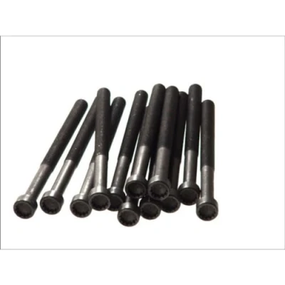 Immagine di ELRING 326.430 Kit Bulloni Testata Poligonale incassata VOLKSWAGEN: Transporter 5, Multivan 5 (7HM, Bus