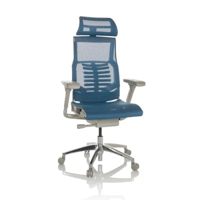 Immagine di HJH Office Sedia professionale per ufficio DYNAFIT II G Mesh ergonomica girevole con supporto lombare flessibile, Blu, 652282