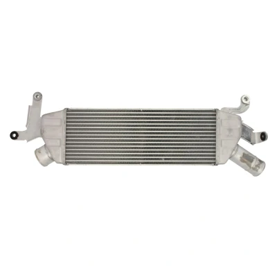 Immagine di THERMOTEC DAC022TT Intercooler CITROËN: C Crosser SUV