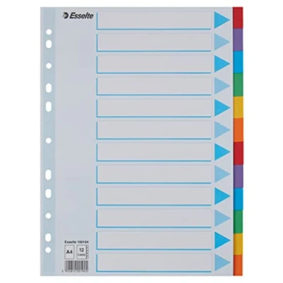 Immagine di Leitz Esselte Divisori per Raccoglitori con 12 Tasti, Formato A4, Blu/Multicolore, Cartoncino Robusto Riciclato, Tasti Pagina Indice, 100194
