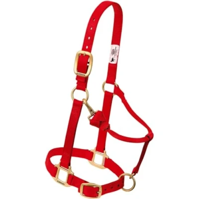 Immagine di Weaver Leather 3/10,2 cm Weanling/Pony Originale Chin &amp; Throat Snap Halter, Rosso, Regolabile