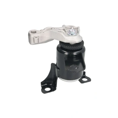 Immagine di REINHOCH RH11 4053 Supporto motore Dx idraulico FORD: Fiesta 6, B Max, Mk6 Sedan