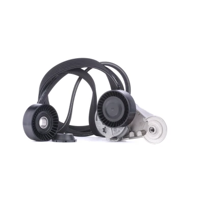Immagine di GATES K016DPK1838 Kit cinghie Poly V ThermalPro VOLVO: S60 I, XC70 I Cross Country, V70 2