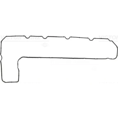 Immagine di REINZ 71 34404 00 Guarnizione Coperchio Punterie CITROËN: Xsara Picasso, C5 I Station Wagon, II FIAT: Scudo Van, Ulysse