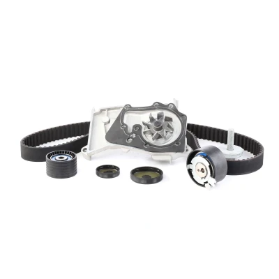 Immagine di SKF VKMC 06020 Pompa Acqua + Kit Cinghia Distribuzione 132 RENAULT: CLIO 3, MEGANE 1 Cabriolet, 1, DACIA: Duster SUV, Sandero I, Logan I MCV