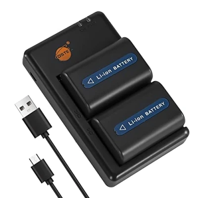 Immagine di DSTE 2PCS NP FM55H FM50 (2300mAh/7.4V) Batteria Caricatore Compatibile per Sony FM30,NP FM51,NP QM50,NP QM51,CCD TRV128,CCD TR208,CCD TR408,CCD TR748,CCD TRV106,CCD TRV107,CCD TRV108