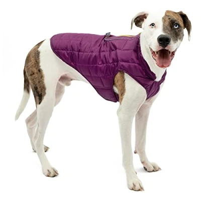 Immagine di Kurgo Loft Cappotto Reversibile per Cani, Impermeabile, Riflettente, Compatibile con Imbracatura, Viola/Grig, XL
