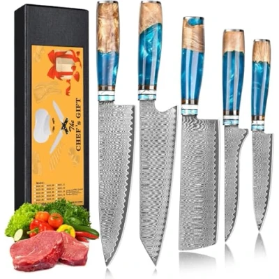 Immagine di oFuun Set Coltelli da Cucina Professionali Damasco 67 Strati, 5 Pezzi Coltello Giapponese Professional Kiritsuke Nariki Chef Per Verdura Carne