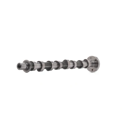 Immagine di AMC 647199 Albero a Camme Lato scarico OPEL: Corsa D Hatchback, Mokka / X, RENAULT: MEGANE 2, LAGUNA 2 Grandtour