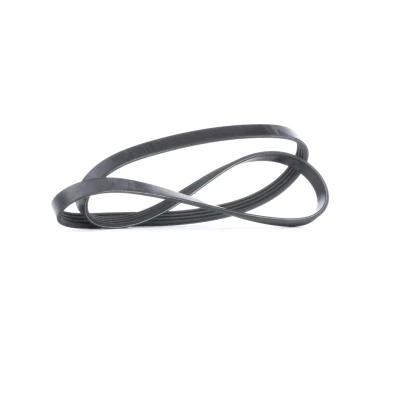 Immagine di FEBI BILSTEIN 28811 Cinghia Poly V 1238 4 EPDM (Etilene Propilene Diene Caucciù) RENAULT: CLIO 2, Kangoo I, I Express