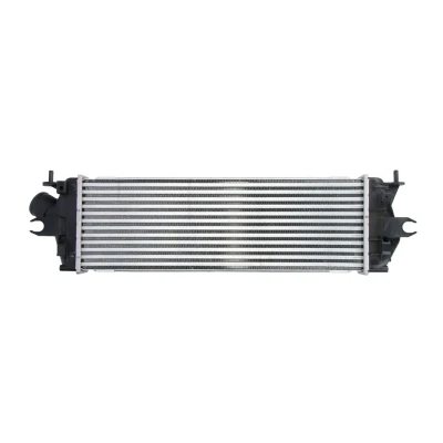 Immagine di THERMOTEC DAX014TT Intercooler 540 187 42 RENAULT: TRAFIC 2 Bus, Kasten, NISSAN: Primastar Van, OPEL: Vivaro A Combi