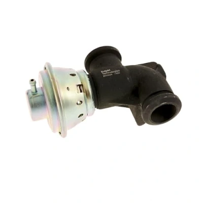 Immagine di DELPHI EG10530 12B1 Valvola EGR senza radiatore