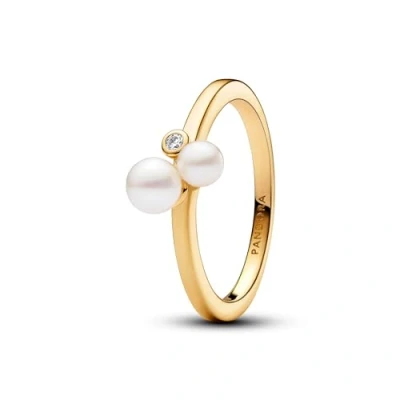 Immagine di Pandora Timeless Auricolari Argento 293178C01