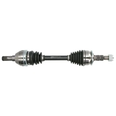Immagine di Albero motore/Semiasse PASCAL G2X070PC