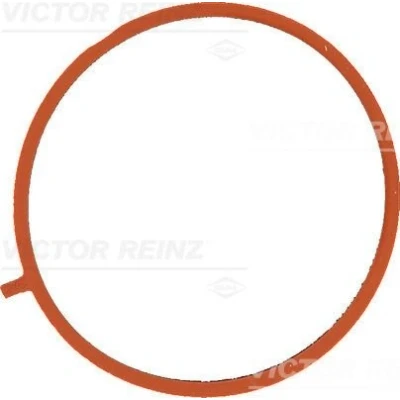 Immagine di REINZ 71 10755 00 Guarnizione Collettore Aspirazione FPM (Fluoro Caucciù) MERCEDES BENZ: Classe E Sedan, T modell, C modell
