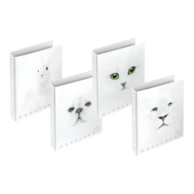 Immagine di Pigna Cartelle ad Anelli, Monocromo Bianco, File a 27x32 cm, Confezione 5 Pezzi