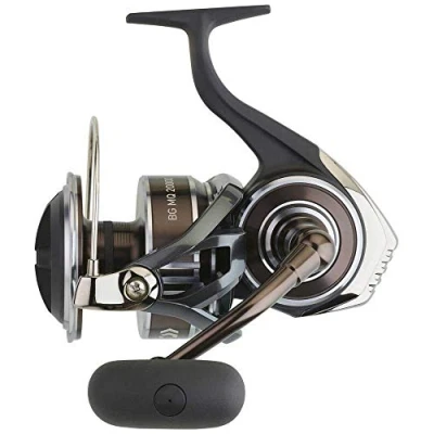 Immagine di Daiwa BG MQ 8000 H Mulinello