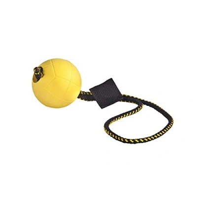 Immagine di DINGO GEAR WWW.DINGOGEAR.COM 1977 Punto di Accesso Wireless Zyxel Cloud Ibrido