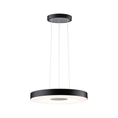 Immagine di Paulmann Pane II 79517 Lampada LED a sospensione (monocolore) 22 W Nero, Grigio