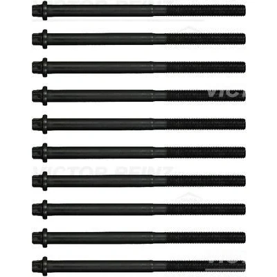 Immagine di REINZ 14 17059 01 Kit Bulloni Testata Torx esterno BMW: X5, 5 Sedan, Touring