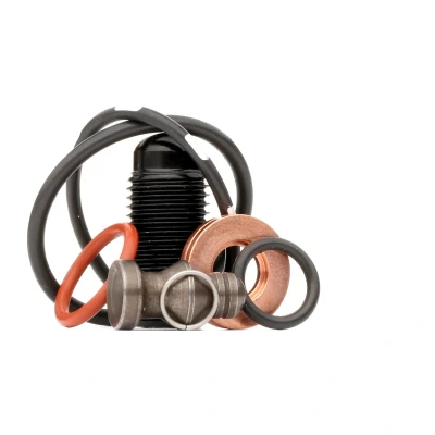 Immagine di REINZ 15 38642 03 Kit riparazione, Gruppo pompa iniettori con bullone/vite VOLKSWAGEN: Golf 4, Passat B6 Variant, Touran I, AUDI: A4 B7 Avant