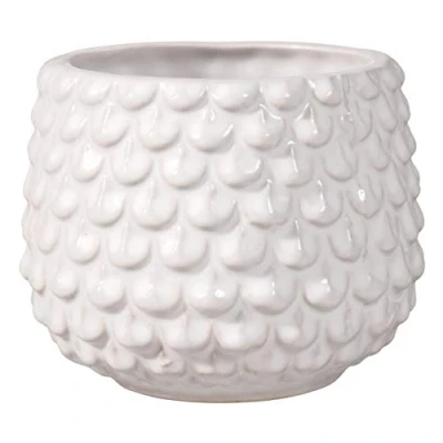 Immagine di Bloomingville Vaso Pinecone per Fiori da Interno e Piante Interno, grasse, Cactus, Orchidee S (9,5 cm ø), Bianco, Ceramica Gres