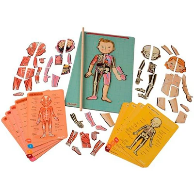 Immagine di Puzzle Magnetico Corpo Umano