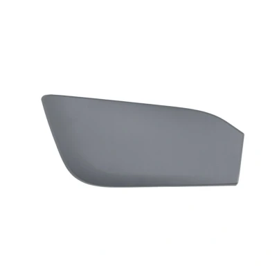 Immagine di Paraurti striscia di rivestimento/protezione BLIC 5513 00 0095972P Destra