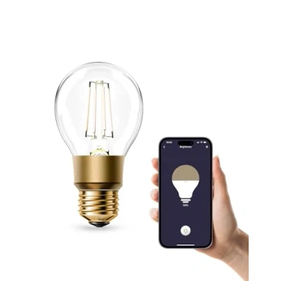 Immagine di Refoss Lampadina WiFi E27, LED dimmerabile vintage, Bianco caldo, 6W (equivalente a 60W), Smart Edison A19, Compatibile con Alexa e Google Assistant, Nessun hub richiesto