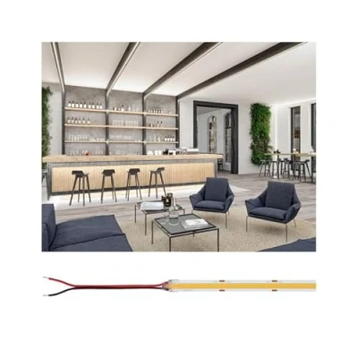 Immagine di Paulmann Strip Gold COB 78454 Striscia LED ERP: G (A G) 24 V 5000 mm Bianco caldo