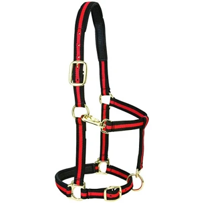 Immagine di Weaver Leather Cavezza imbottita regolabile in nylon, rosso, 2,5 cm, cavallo piccolo