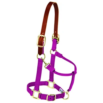 Immagine di Weaver Leather Breakaway Original Adjustable Chin And Throat Snap Halter, n/a, Raspberry