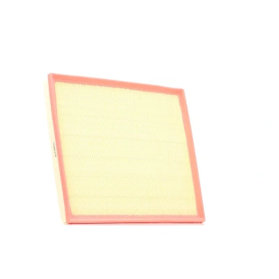 Immagine di AUTOMEGA 180032810 filtro aria 35 301 342 Cartuccia FORD: Transit Custom V362 Van, Mk6 Camion pianale/Telaio