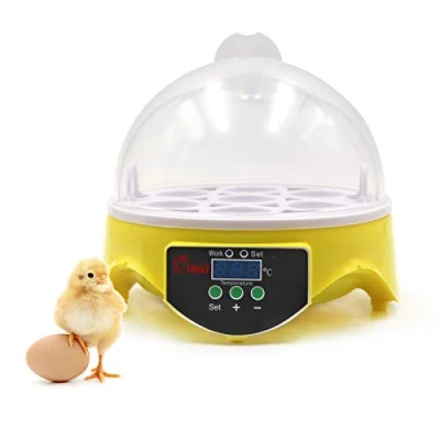 Immagine di Incubatrice Per Uova,Incubatrice Manuale con Girauova, Controllo Intelligente Della Temperatura, Display Digitale a LED, Adatta Polli, Anatre e Quaglie