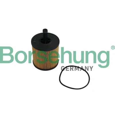 Immagine di Borsehung B10548 filtro olio Cartuccia VOLKSWAGEN: Touareg I, Phaeton