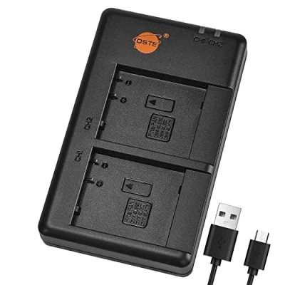 Immagine di DSTE Fast Charging USB Dual Batteria Caricatore Compatibile per Panasonic DMW BLE9, BLE9PP, BLG10, BLH7, BLH7E, DMC GM1, BTC9, GF6, GX7, LX100, GF7K