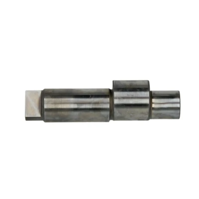 Immagine di Albero eccentrico, pompa common rail BOSCH F 00R 0P1 765